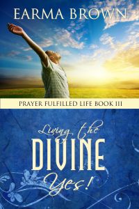 Living The Divine Yes Paperback